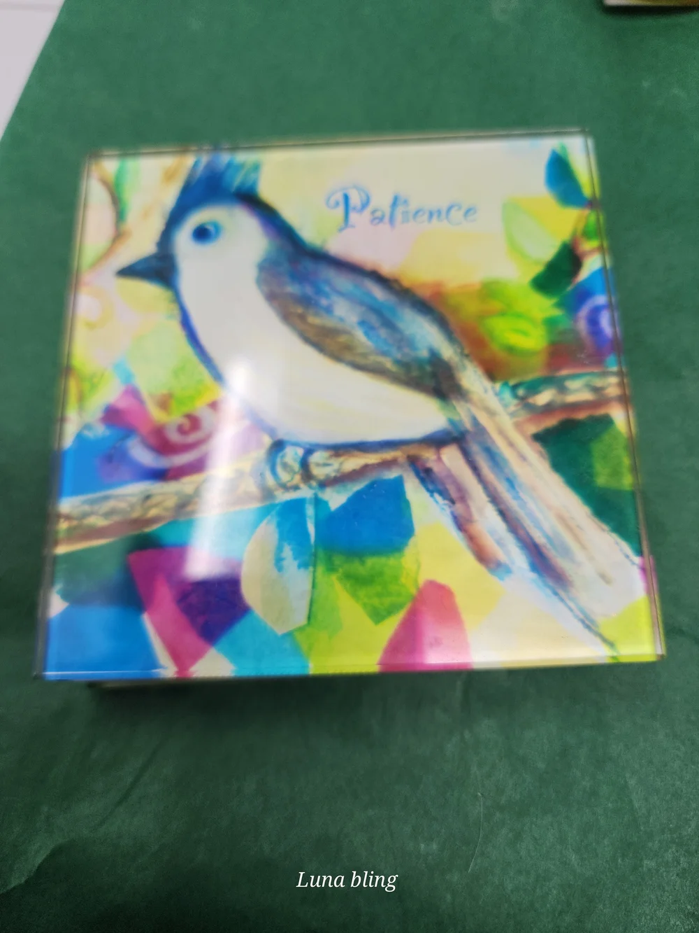 Set of 4 Colorful Bird Glass Coasters